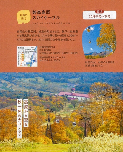 『月刊新潟Komachi』<br>2021年11月号イメージ