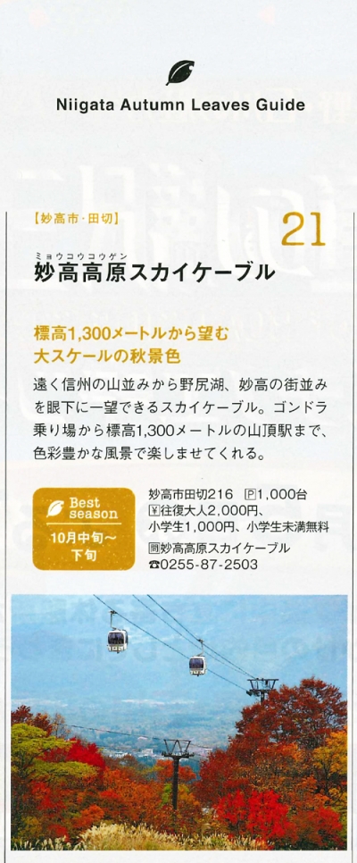 『月刊新潟Komachi』<br>2022年11月号イメージ