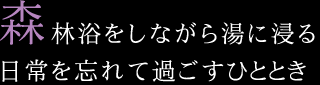 森林浴をしながら湯に浸る 日常を忘れて過ごすひととき