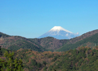 富士見平