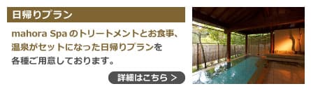 mahoraSpa日帰りプラン